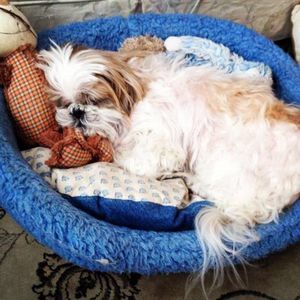 Meet your Posher, Beverlyann